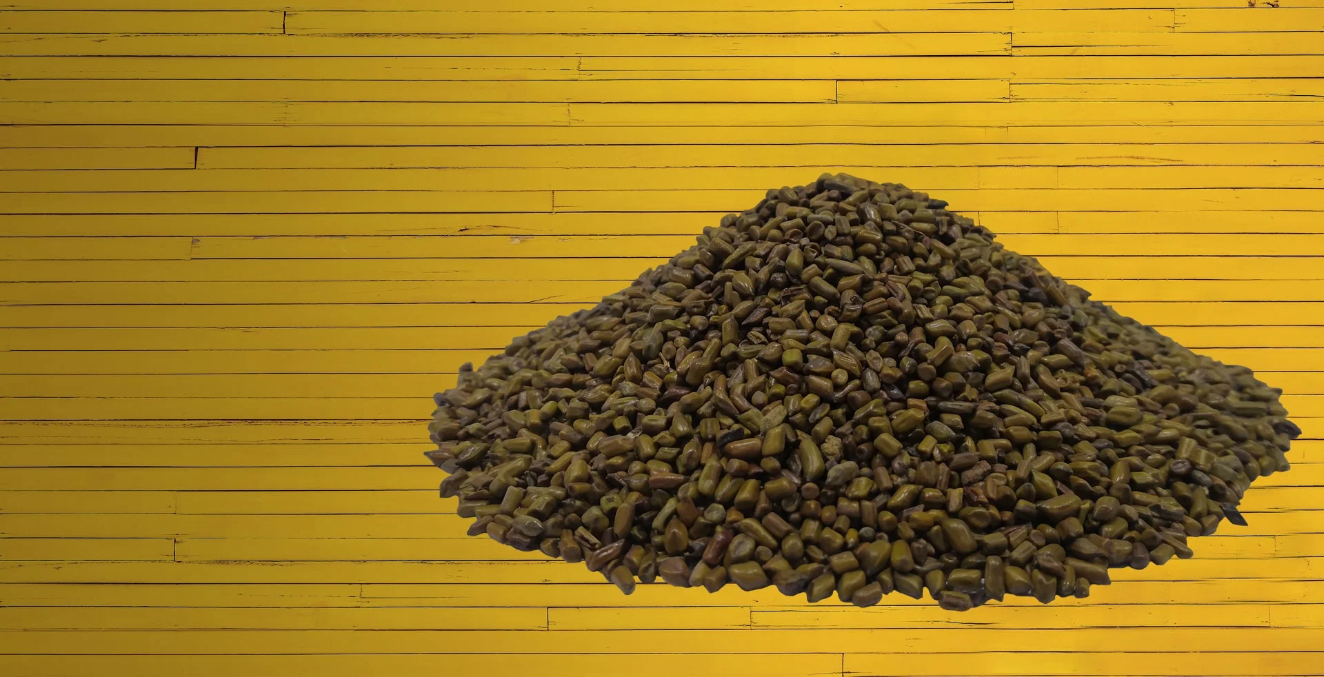 cassia seeds